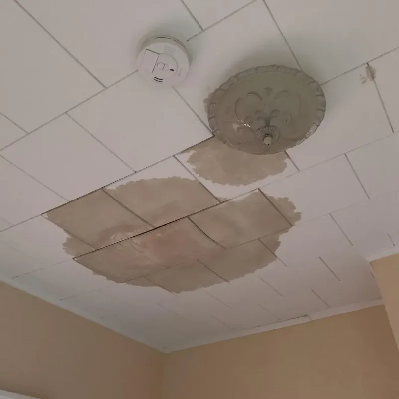 Ceiling Water Damage Repair in Marion County, WV