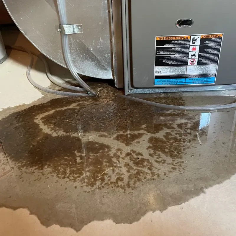 Pipe Burst and Leak Restoration in Marion County, WV