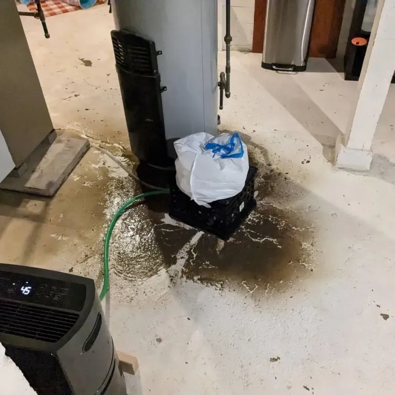 Sewage Backup Cleanup Service in Marion County, WV